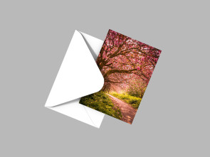 To buy a print or any of the below please click on the images